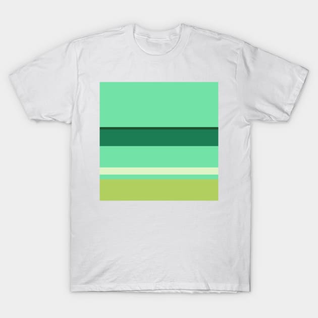 A rare customization of Salem, Seafoam Blue, Very Light Green, Cal Poly Pomona Green and June Bud stripes. T-Shirt by Sociable Stripes